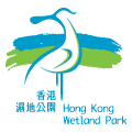 More about wetland